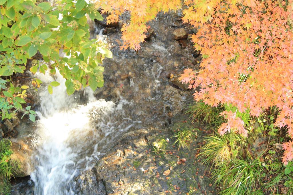 Yamadaya Ryokan Hitachiota ภายนอก รูปภาพ