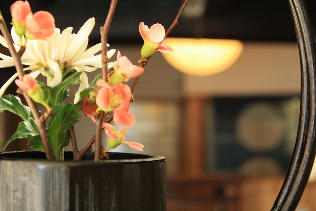 Yamadaya Ryokan Hitachiota ภายนอก รูปภาพ